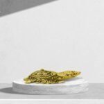 Brass Turtle (3x0.5 Inch) - Image 4